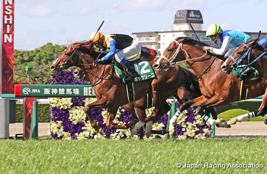 Naruo Kinen (G3)