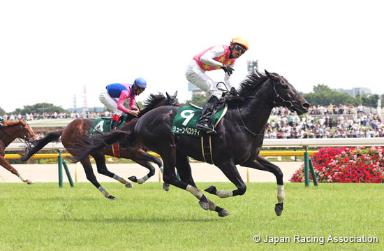 Tokyo Jump Stakes (J-G3)