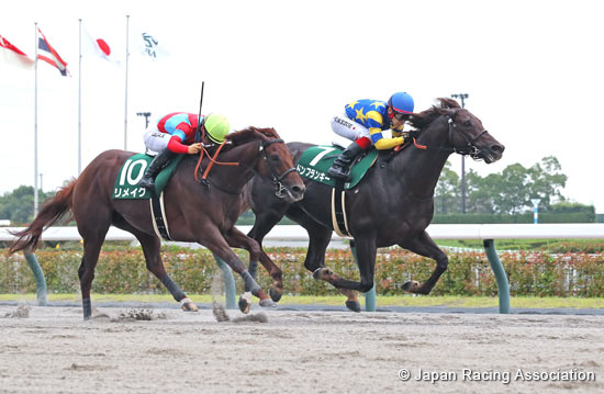 Procyon Stakes (G3)