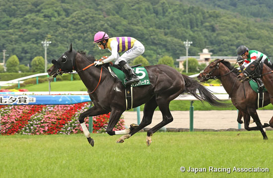 Horse Racing In Japan