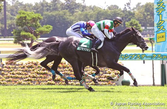 Niigata Jump Stakes (J-G3)