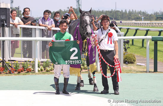 Niigata Jump Stakes (J-G3)