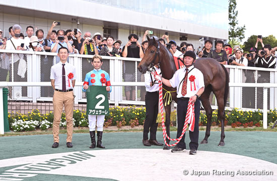 Sekiya Kinen (G3)