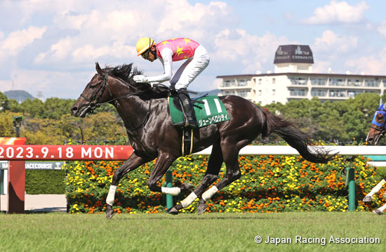 Hanshin Jump Stakes (J-G3)