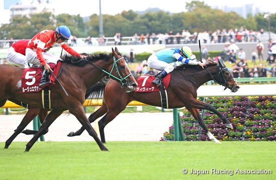 Ireland Trophy Fuchu Himba Stakes (G2)