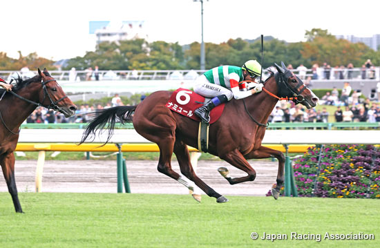 Fuji Stakes (G2)