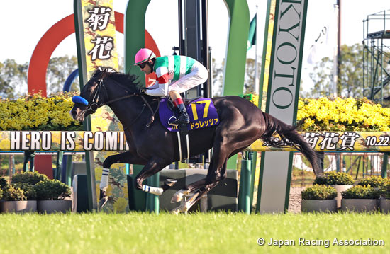 Kikuka Sho (Japanese St. Leger) (G1)