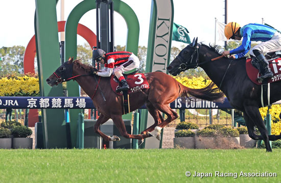 Mainichi Broadcast. Swan Stakes (G2)