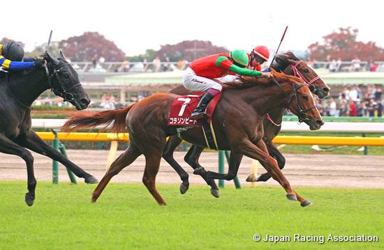 Keio Hai Nisai Stakes (G2)