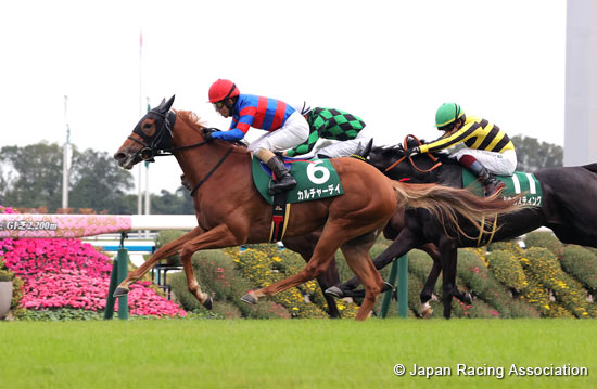 KBS Kyoto Sho Fantasy Stakes (G3)