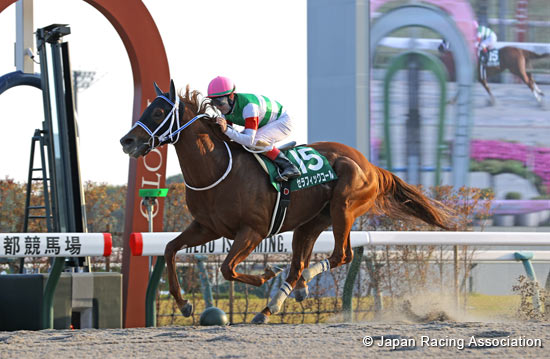 Miyako Stakes (G3)