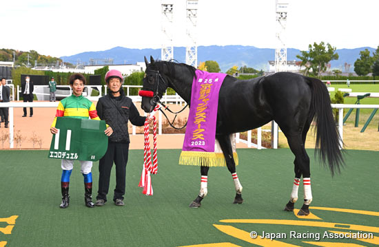 Kyoto Jump Stakes (J-G3)