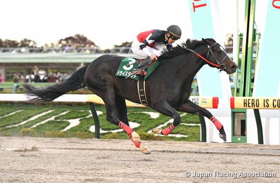 Tokyo Chunichi Sports Hai Musashino Stakes (G3)