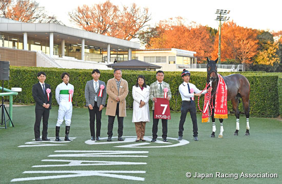 Sports Nippon Sho Stayers Stakes (G2)