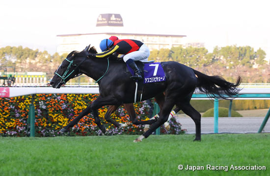 Hanshin Juvenile Fillies (G1)