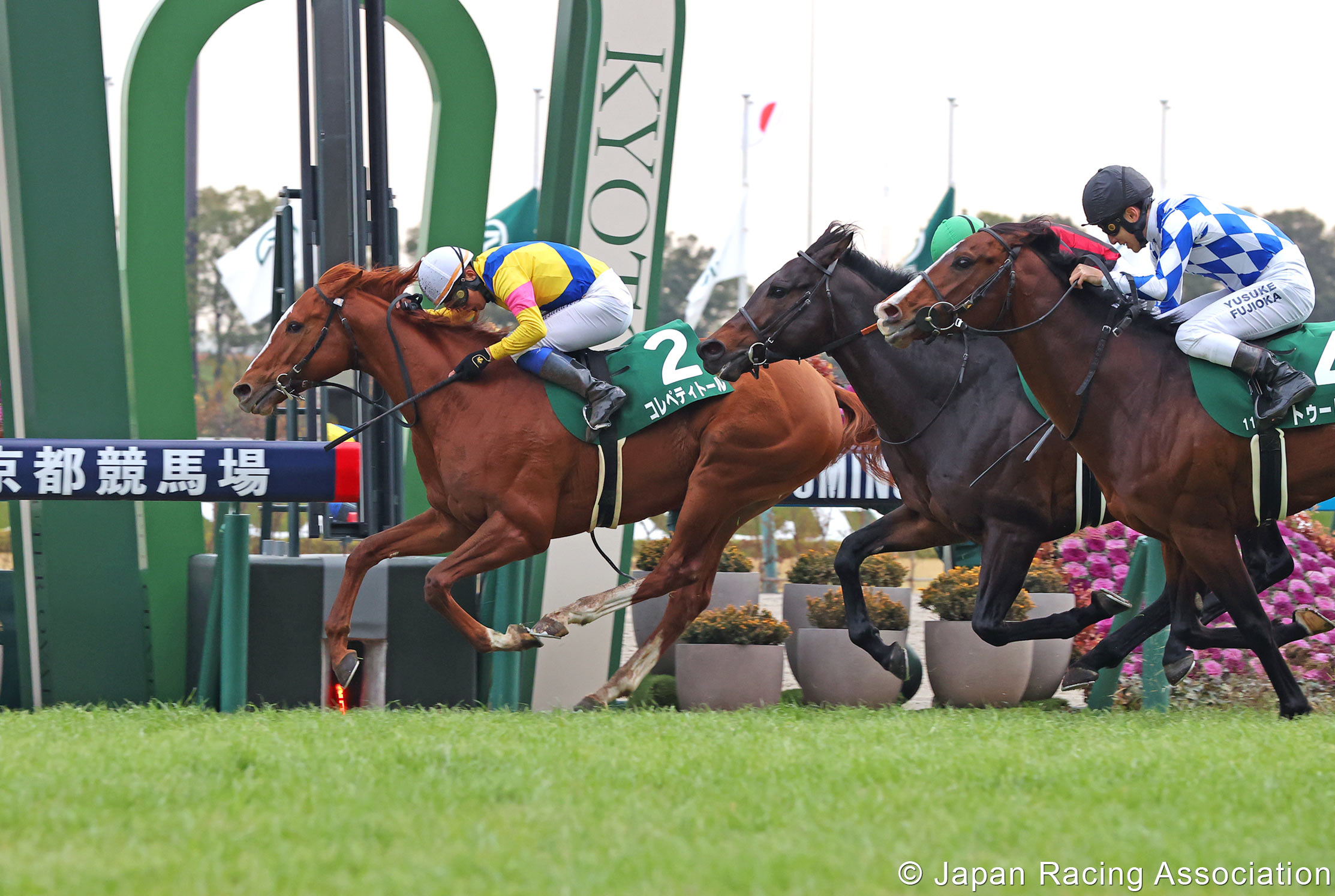 Horse Racing In Japan