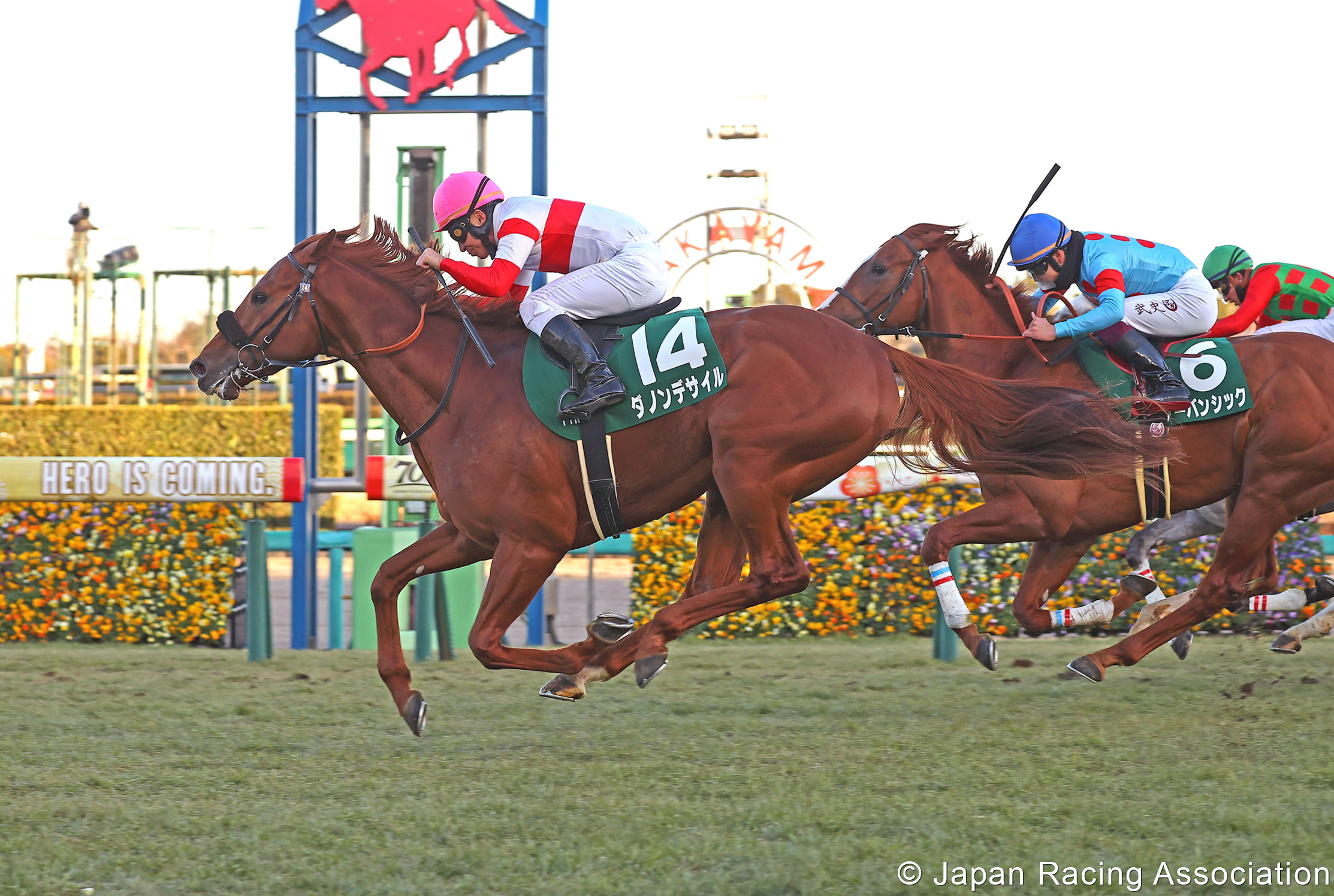 Photo Gallery｜News & Media｜Horse Racing in Japan 