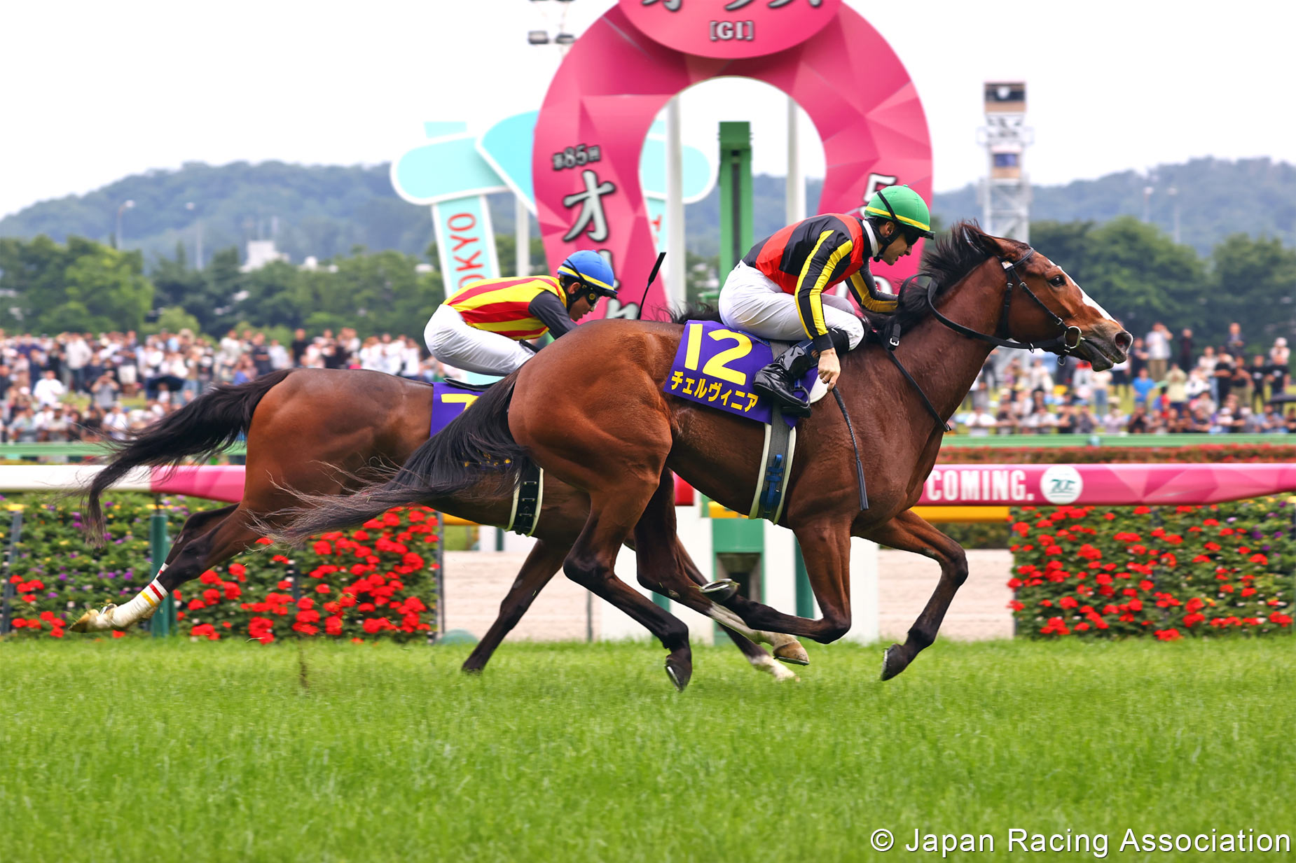 Horse Racing in Japan