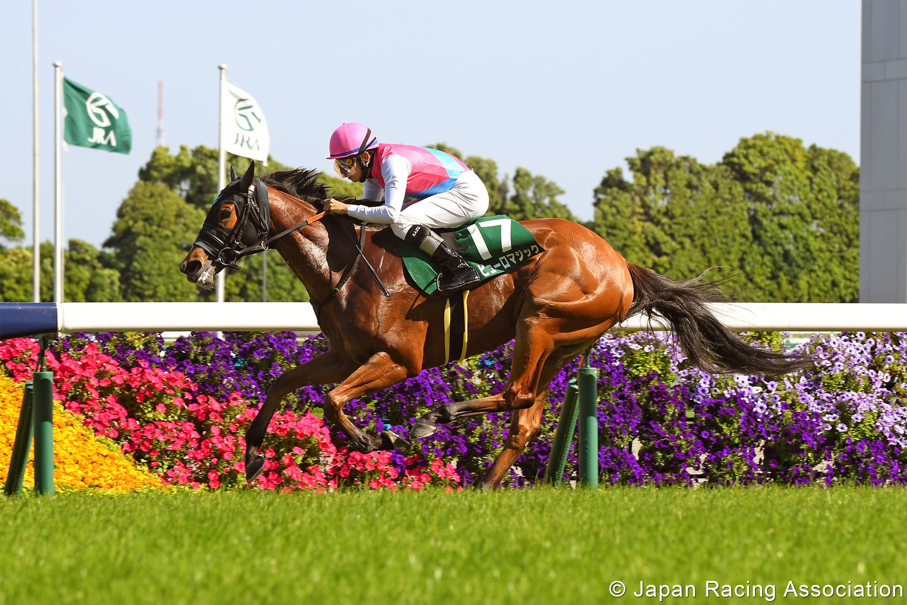 Horse Racing in Japan