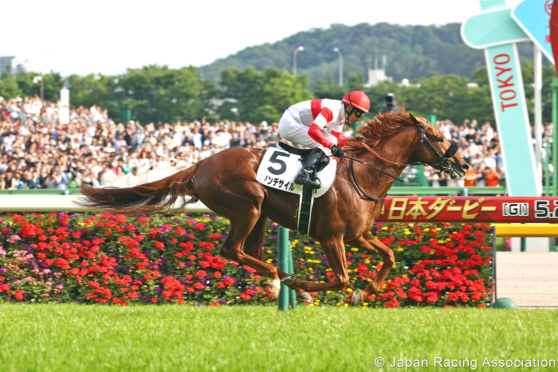 Horse Racing in Japan