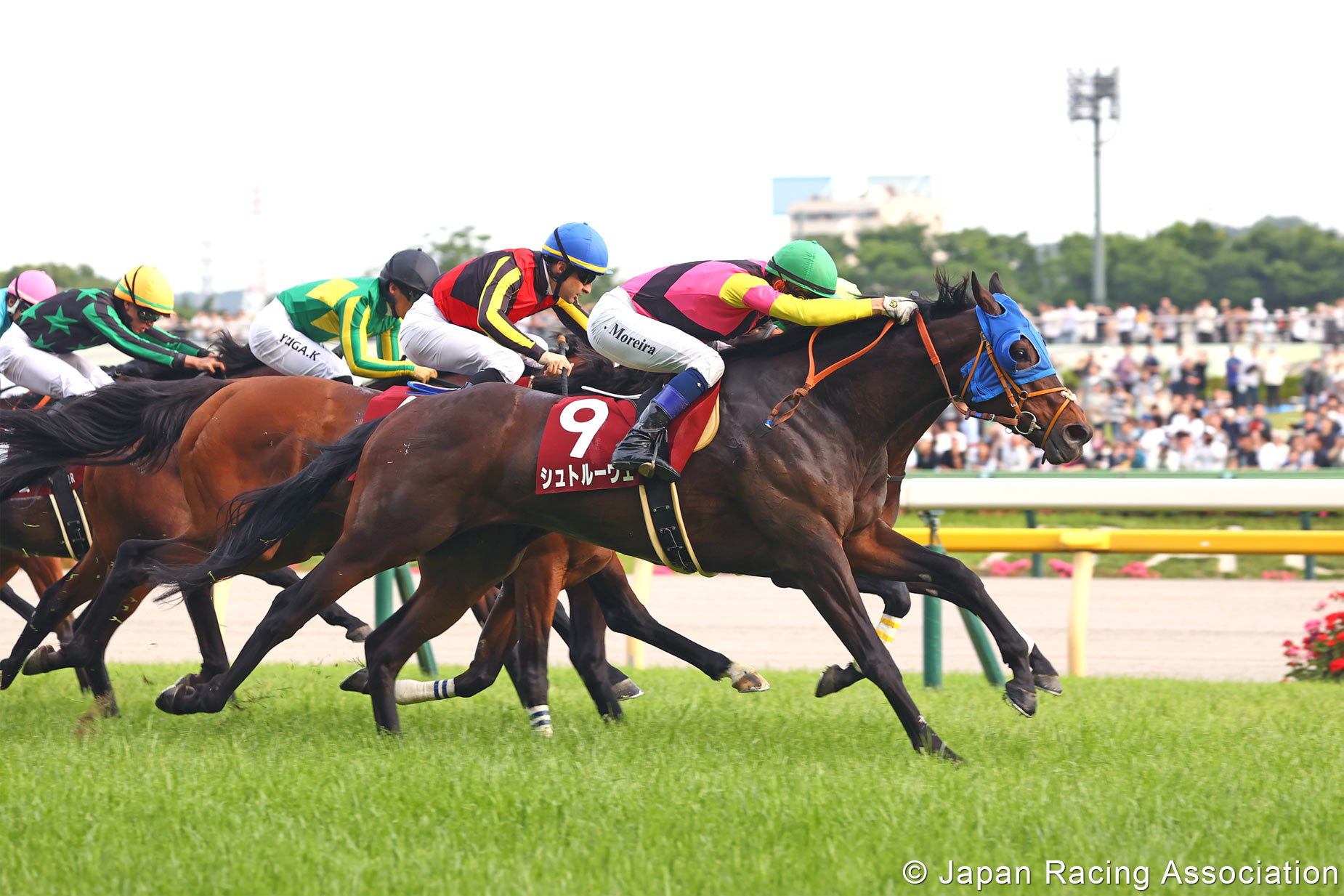 Horse Racing in Japan