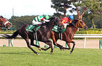 Niigata Kinen (G3)