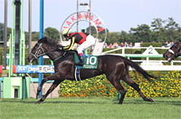 Keisei Hai Autumn Handicap (G3)