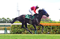 Hanshin Jump Stakes (J-G3)