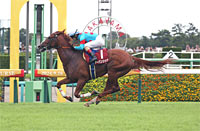 Asahi Hai St. Lite Kinen (Japanese St. Leger Trial) (G2)