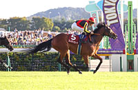 Ireland Trophy Fuchu Himba Stakes (G2)