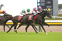 Fuji Stakes (G2)