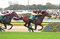 Artemis Stakes (G3)