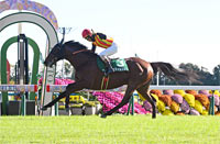 Kyoto Jump Stakes (J-G3)