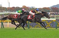 Tokyo Sports Hai Nisai Stakes (G2)