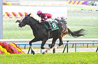 Radio Nikkei Hai Kyoto Nisai Stakes (G3)