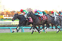 Sports Nippon Sho Stayers Stakes (G2)