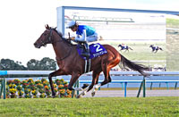 Asahi Hai Futurity Stakes (G1)