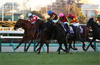 Arima Kinen (The Grand Prix) (G1)