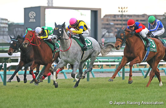 Fairy Stakes (G3)