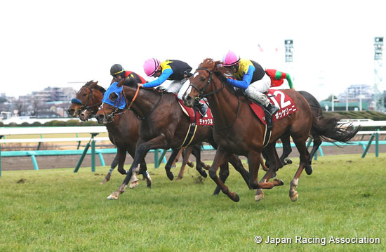 American Jockey Club Cup (G2)