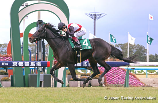 Silk Road Stakes (G3)