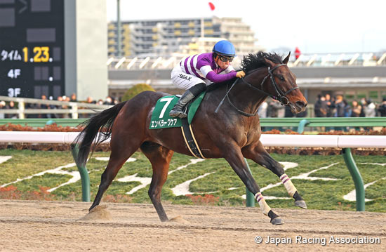 Negishi Stakes (G3)