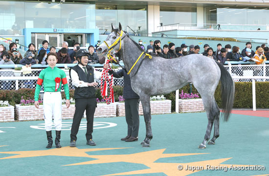 Hochi Hai Fillies' Revue (Japanese 1000 Guineas Trial) (G2)