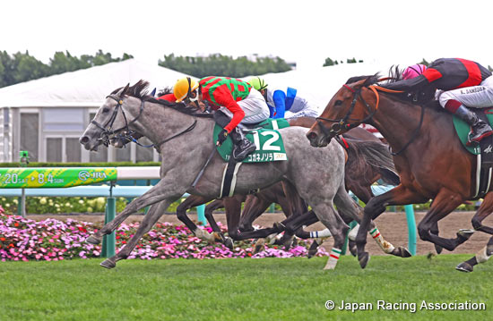 Hokkaido Shimbun Hai Queen Stakes (G3)