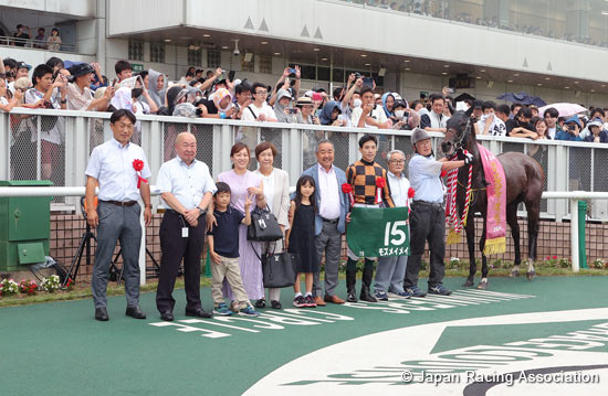 Ibis Summer Dash (G3)