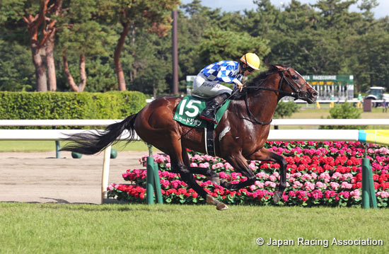 Sekiya Kinen (G3)