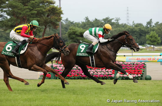 Niigata Nisai Stakes (G3)