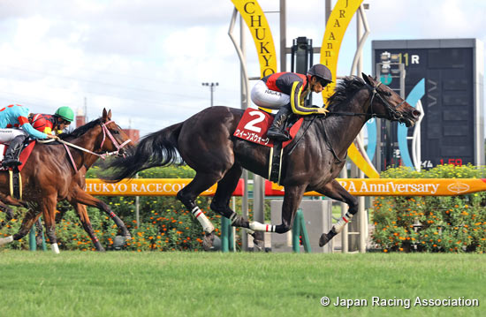 Kansai Telecasting Corp. Sho Rose Stakes (Shuka Sho Trial) (G2)