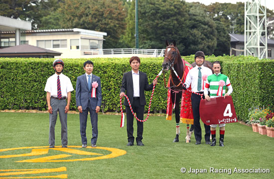 Sankei Sho All Comers (G2)