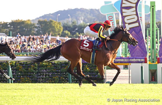 Ireland Trophy Fuchu Himba Stakes (G2)